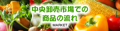神戸中央卸売市場での商品の流れへのリンク